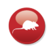 pest control essex