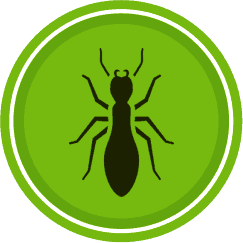 pest control basildon